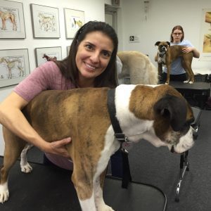 pet massage franchise