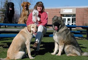 canine franchise
