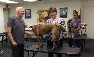 pet massage franchise