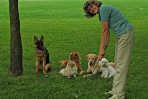 alternative canine franchise