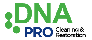 dna pro clean original
