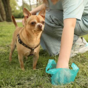 RuffDoodie Franchise Brochure 2023.digital Page 1 Image 0001