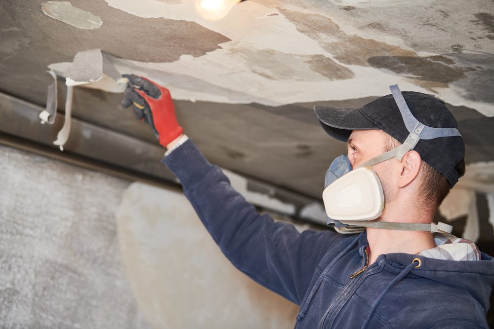 Overview of the Fire, Water, and Remediation Industry Franchise Market