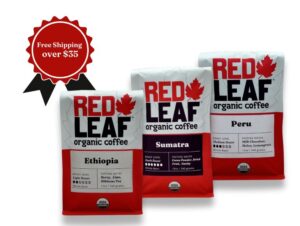 Free Shipping over 35