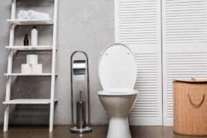 interior of modern bathroom with toilet bowl near 2024 11 13 11 02 44 utc