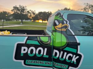 Pool Duck 6904bc1f940f284aa5c6be9e Sunset20Ducks20blur p 1080