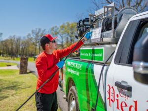 The Pied Piper 681bb832da13d7addc3690a8 residential lawn fertilization