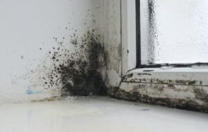 SafeHome Air Solutions 1