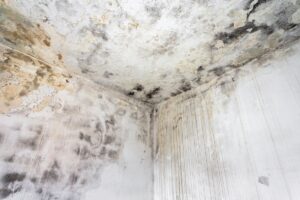 SafeHome Air Solutions 4