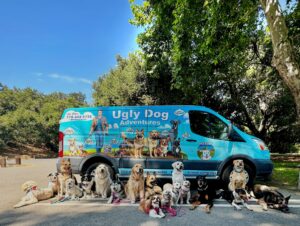 Ugly Dog Adventures dogs in front of van